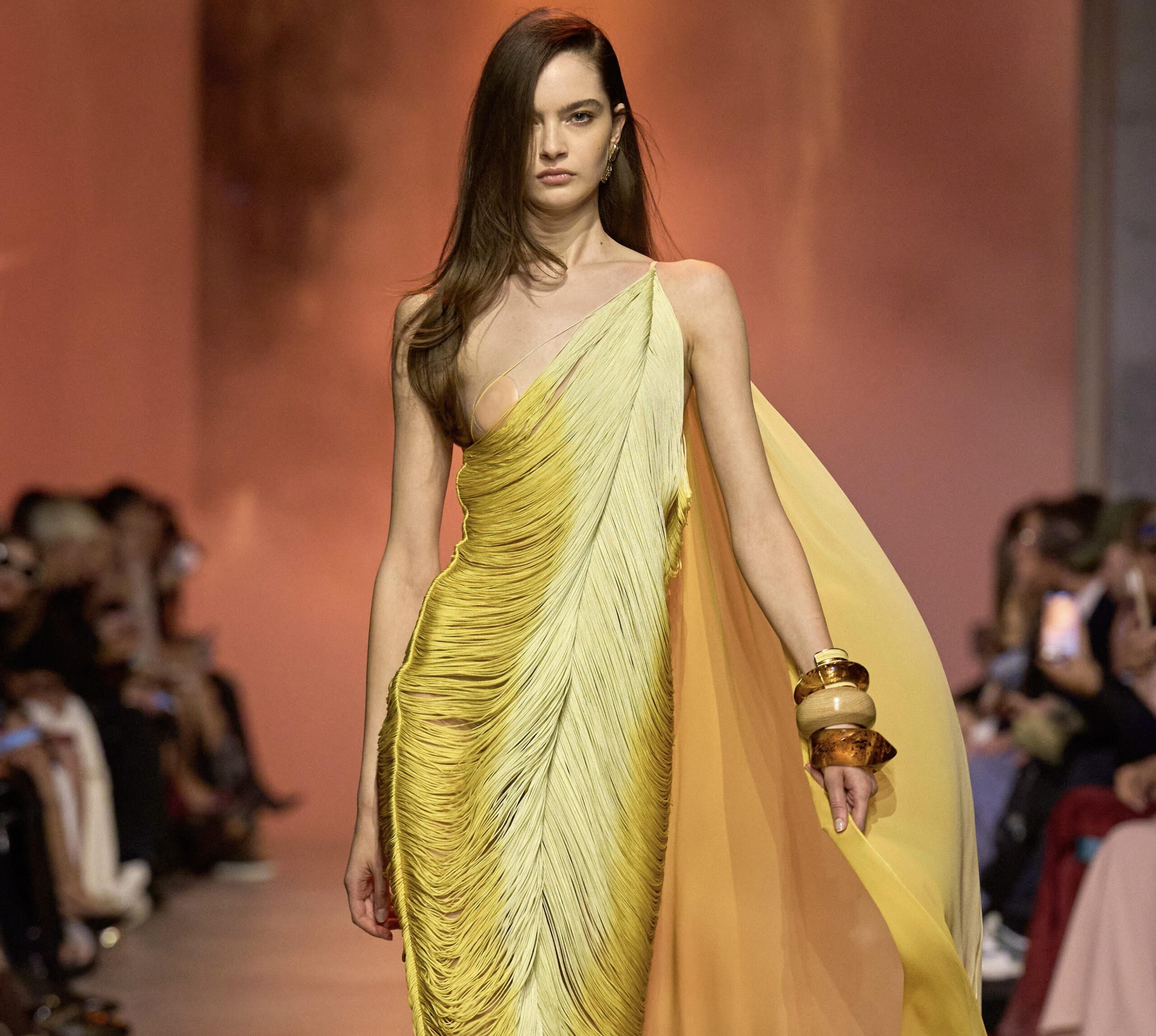 Elie Saab Ready-to-Wear 2025 — Grace in Its Most Untamed Form